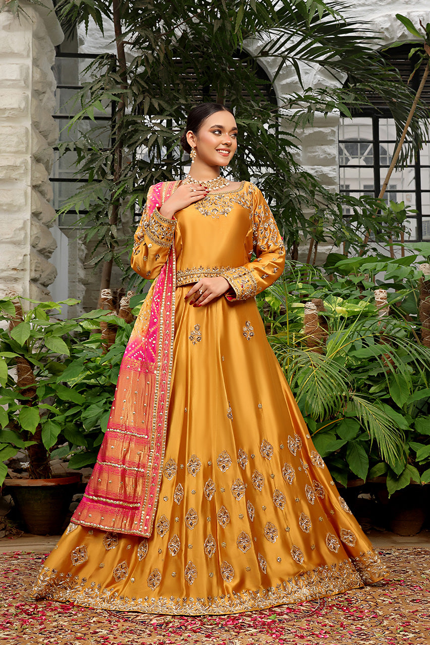 Lehenga Choli 1001
