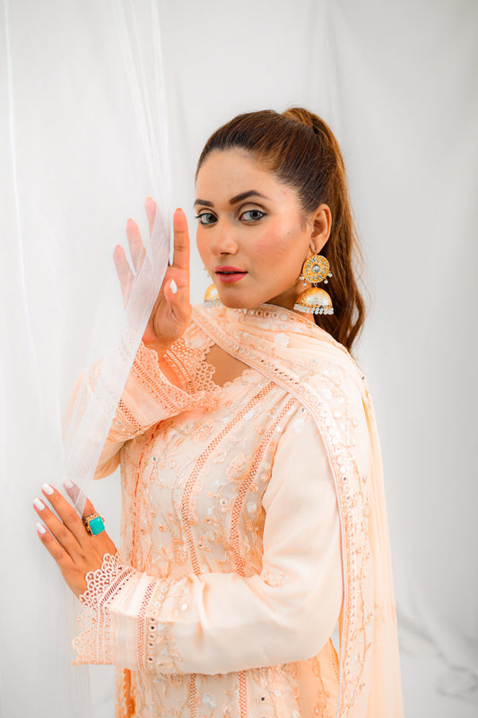 Elegant Peach Embroidered Long Dress